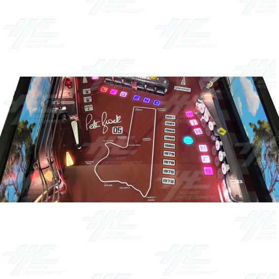 Peter Brock King of the Mountain Pinball Machine - Peter Brock King of the Mountain - Playfield 5